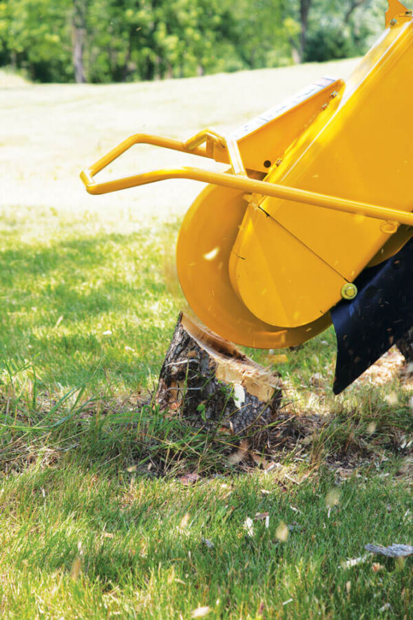 SC292 Stump Cutter - Image 3