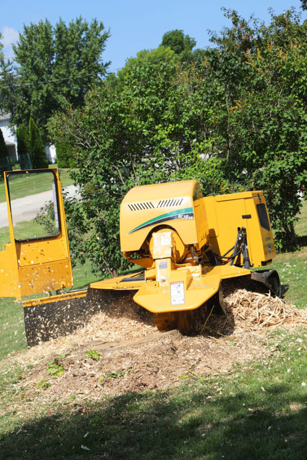 SC70TX Stump Cutter - Image 3