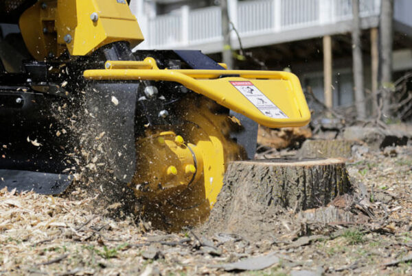 SC48TX Stump Cutter - Image 5